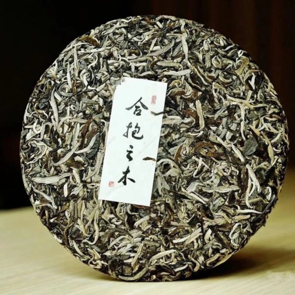 清明春生茶 【合抱之木（貢茶白毛尖）】試飲裝7g - 图片 7