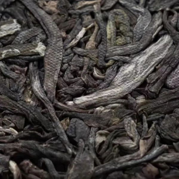 古樹生茶 【高樹野荼】 - 图片 5